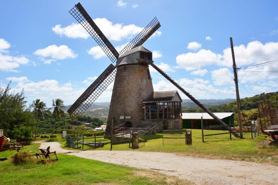 Barbados: Island Tour with Animal Flower Cave and Lunch - Why this Barbados tour works so well in one day