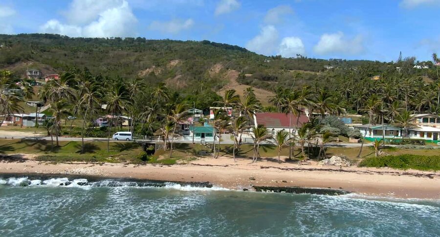 Barbados: Island Tour with Animal Flower Cave and Lunch - Lunch near Bathsheba is a real part of the experience