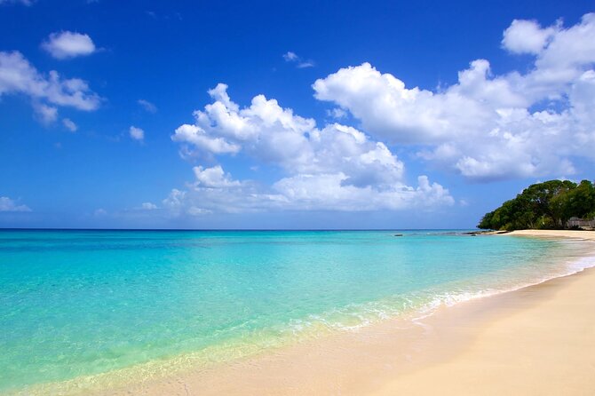 Barbados -Luxury Cruise with Lunch and Open Bar By Oceanluxx - The open bar and the overall mood