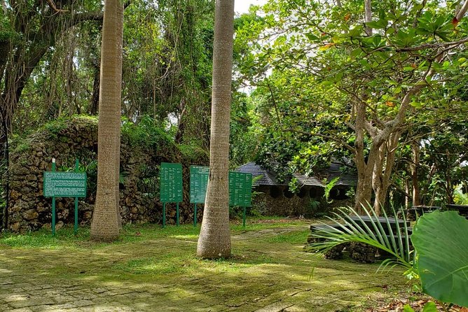 Barbados Private Custom Island Tour - St. Nicholas Abbey adds a house, gardens, and rum
