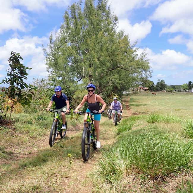 Barbados: Rural Tracks and Trails Guided E-Bike Tour - PEG Farm and the value of a working countryside