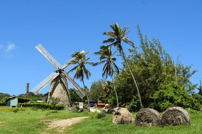 Barbados Shore Excursion: Bajan Highlights - Bathsheba Beach and the mushroom rocks