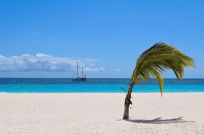 Barbados Shore Excursion: Bajan Highlights - The guides make the difference