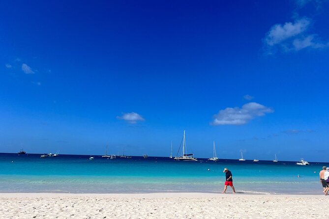 Barbados Shore Excursion Barbados Paradise Sightseeing Tour - Key points at a glance