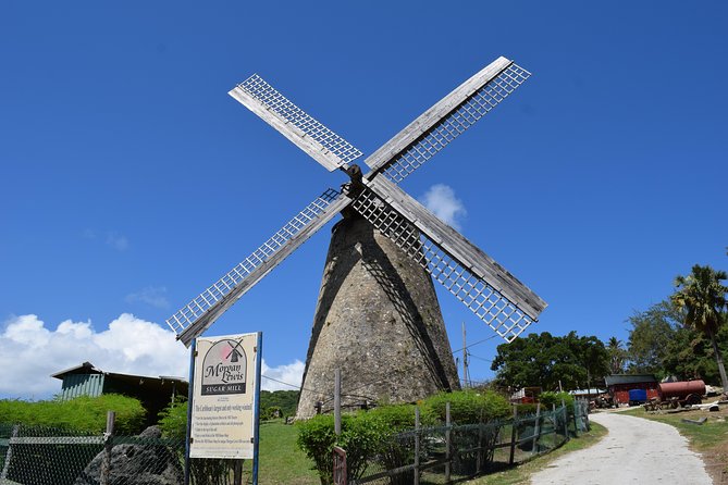 Barbados Shore Excursion Barbados Paradise Sightseeing Tour - The Garrison explains Barbados’s military past