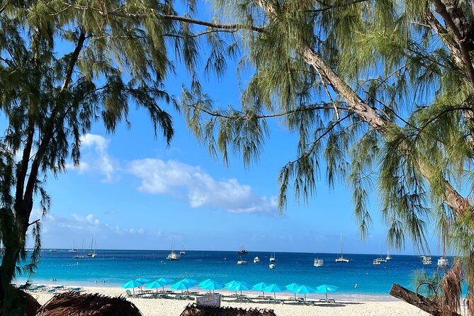 Barbados Shore Excursion Snorkel cruise and Beach Day - Who will enjoy this outing most?