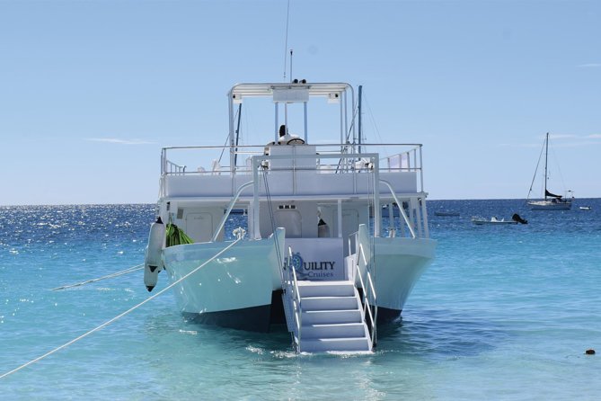 Barbados Shore Excursion Snorkel cruise and Beach Day - Savvy on The Bay gives you an easy beach base