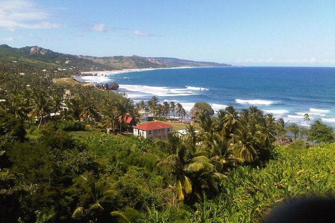 Barbados Sightseeing Plantation distillery tour, Lunch & Drink - Animal Flower Cave from the cliffs