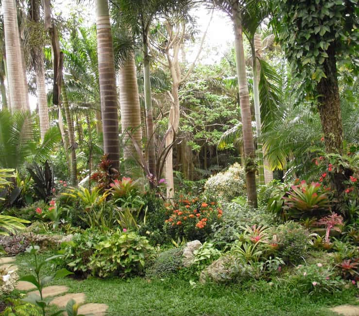 Barbados: Tour of Harrison's Cave & Hunte's Gardens - Key points to know before booking