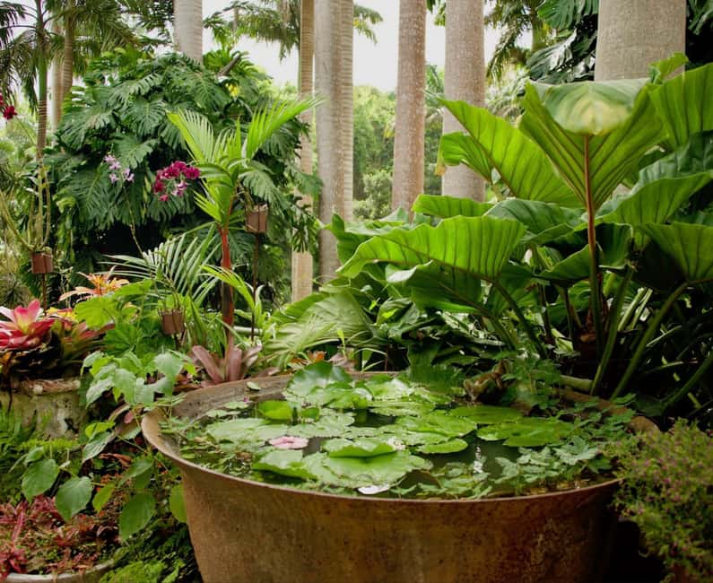 Barbados: Tour of Harrison's Cave & Hunte's Gardens - Why this Barbados pairing works