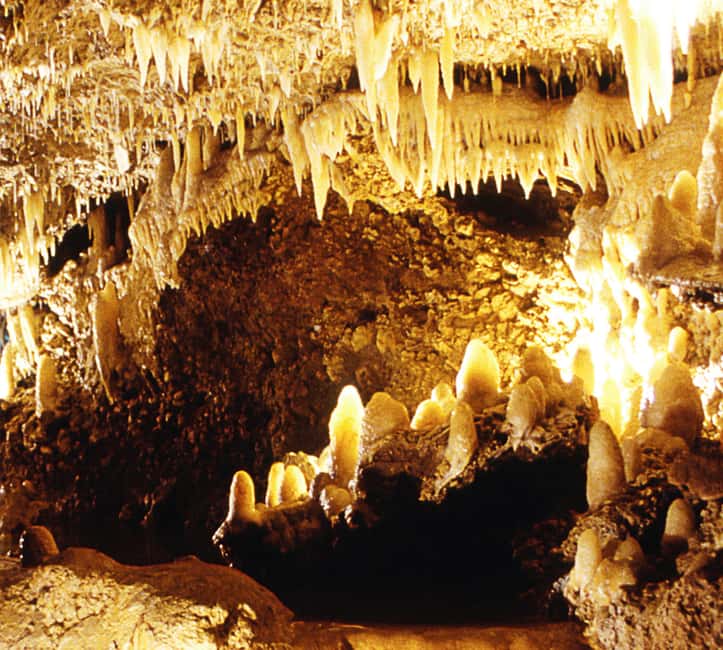 Barbados: Tour of Harrison's Cave & Hunte's Gardens - Rum punch, banana bread, and the scenic stop