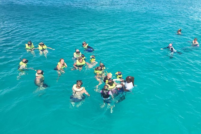 Barbados Turtle and Shipwreck Snorkel Adventure - Key things to know before you book