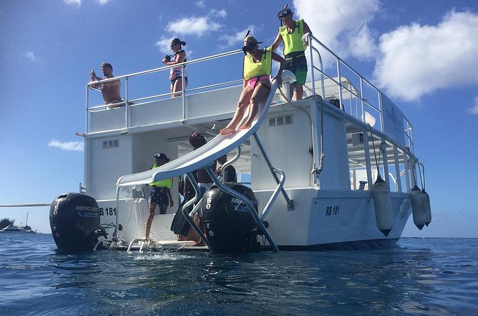 Barbados Turtle and Shipwreck Snorkel Adventure - Shipwreck snorkeling with fish all around