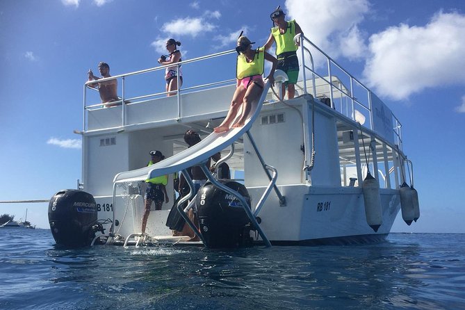 Barbados Turtle and Shipwreck Snorkel Adventure - The turtle stop: wonderful, but not guaranteed