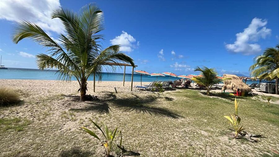 Basseterre: St. Kitts and Nevis Catamaran Tour with Lunch - Who will enjoy this catamaran day