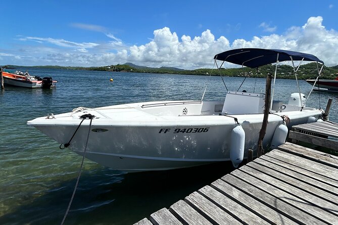 Bathtub of Josephine and Islands Half day Boat trip - Ilet Boisseau and its protected seabirds