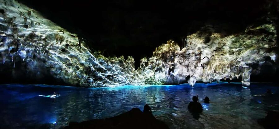 Bayahibe: National Park Jungle Walk & Snorkeling in Cenotes - Key points at a glance