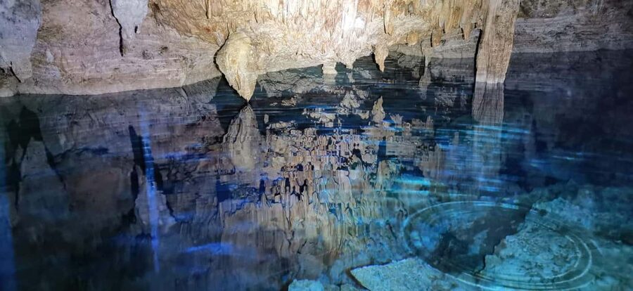 Bayahibe: National Park Jungle Walk & Snorkeling in Cenotes - The 20-minute jungle walk