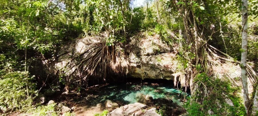 Bayahibe: National Park Jungle Walk & Snorkeling in Cenotes - Descending into Chicho Cave