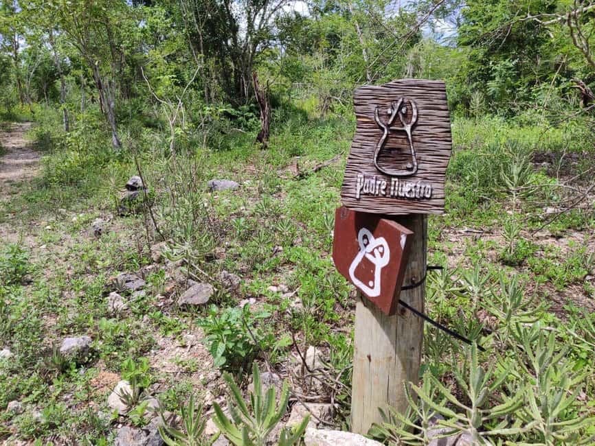 Bayahibe: National Park Jungle Walk & Snorkeling in Cenotes - Is $55 a fair price?