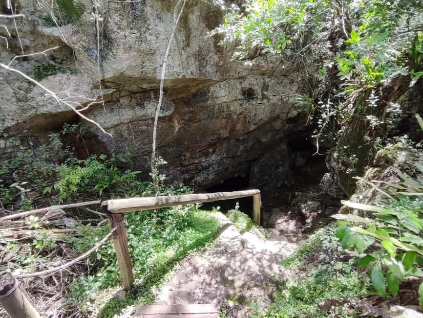 Bayahibe: National Park Jungle Walk & Snorkeling in Cenotes - Who should book this experience?
