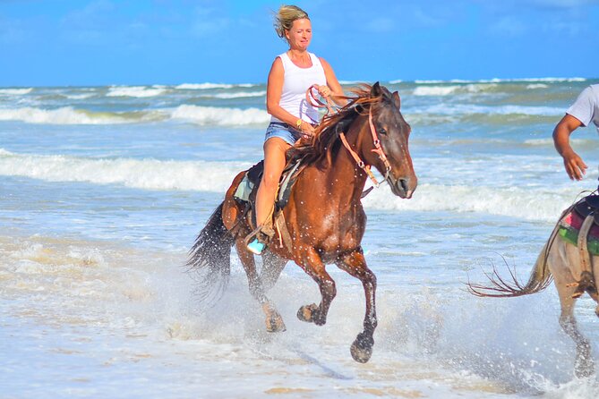 Beach Sunset on Horse Riding in Punta Cana(Private Option) - Key points before you saddle up