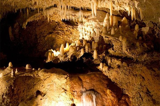 Beautiful Barbados: Harrisons Cave & Beach Day Tour - Who will enjoy this day most?
