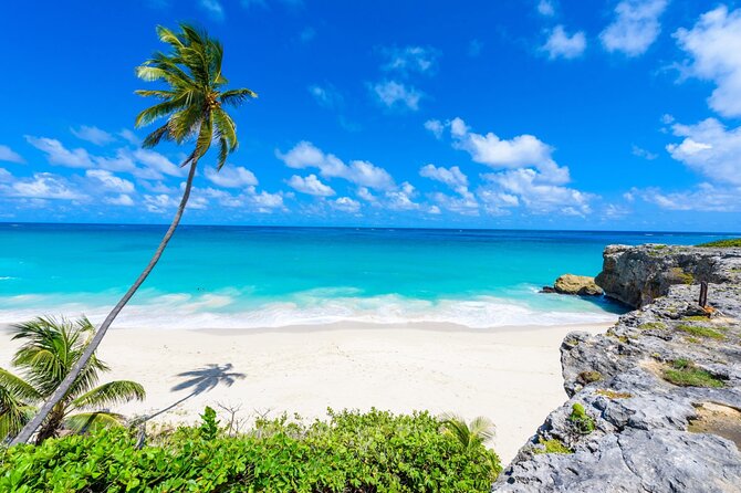 Beautiful Coastal Sightseeing Tour of Barbados - Why this full-day route works