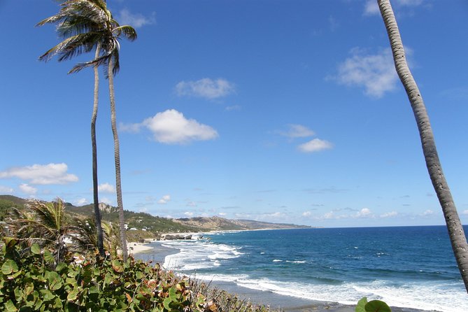 Beautiful Coastal Sightseeing Tour of Barbados - Codrington College and St. John’s Parish Church