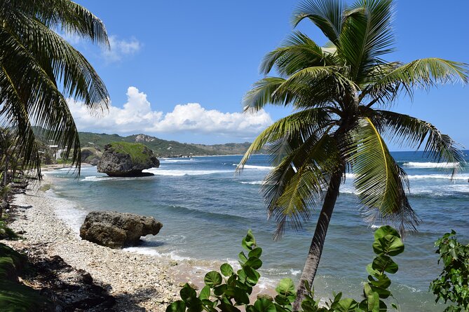 Beautiful Coastal Sightseeing Tour of Barbados - What the guides add to a long day
