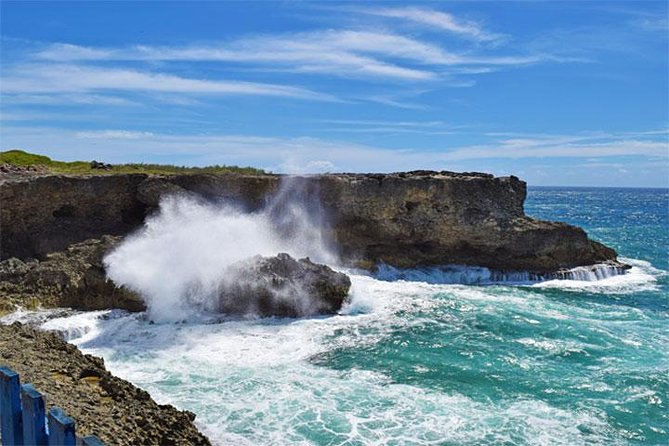 Beautiful Coastal Sightseeing Tour of Barbados - Bridgetown and the Garrison: a quick start in the capital