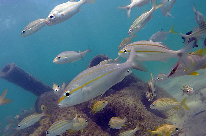 Beginner Scuba Diving with Turtles and Videos, San Juan - Weather, water safety, and cancellation concerns