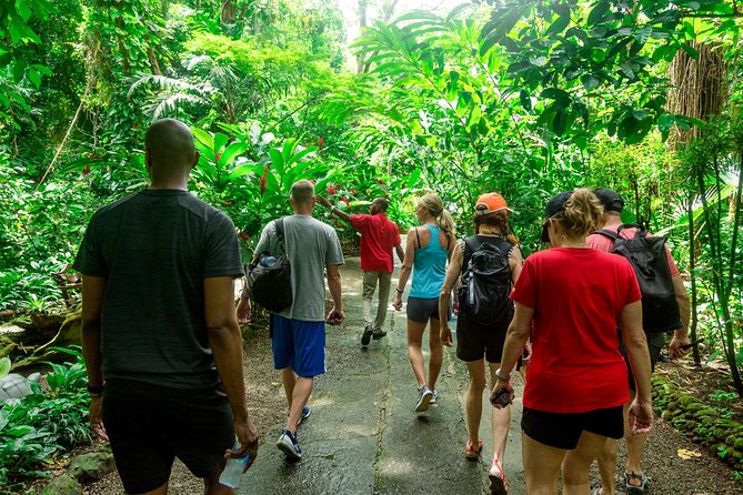 Best of Both Worlds Land and Sea Adventure - Diamond Falls and its changing colors