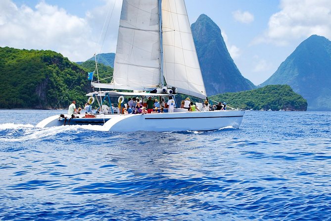Best of Both Worlds Land and Sea Adventure - Swimming and snorkeling on the Caribbean coast