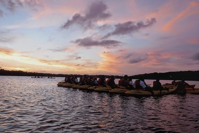 Bio Bay Kayak Tour in Fajardo - Is $89 a fair price?