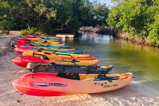 Bio Bay Night Kayak Tour in Fajardo - From Kayak Village to the mangroves