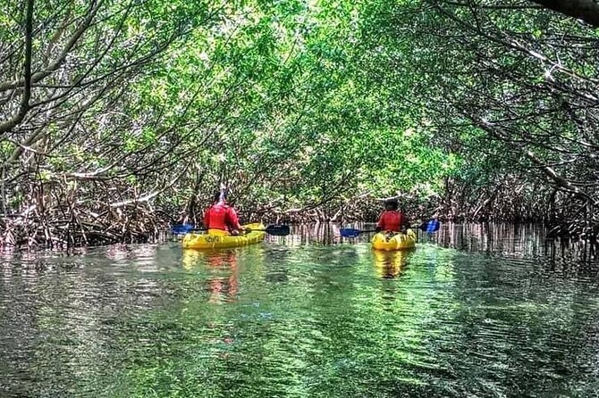Bio Bay Night Kayak Tour in Fajardo - What the $85 price covers