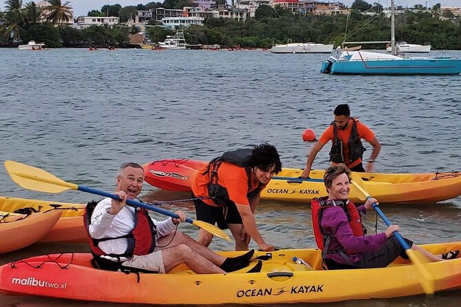 Bio Bay Night Kayak Tour in Fajardo - My verdict: book it if you want nature with some effort