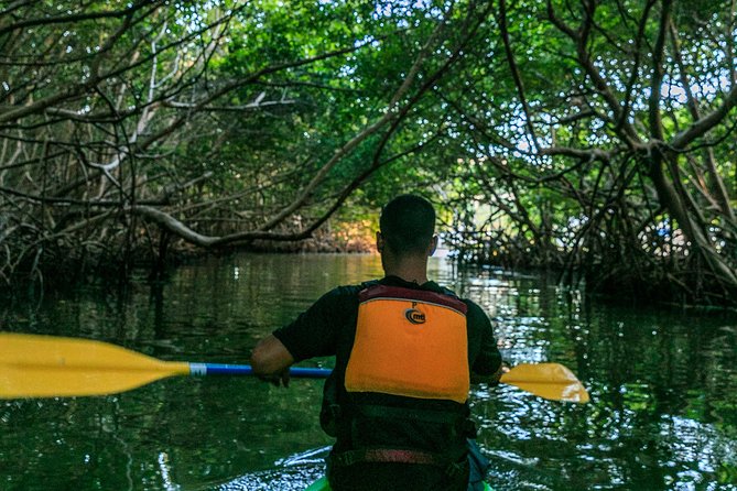 Bio Bay Night Kayaking | Laguna Grande, Fajardo - Reaching the bioluminescent bay