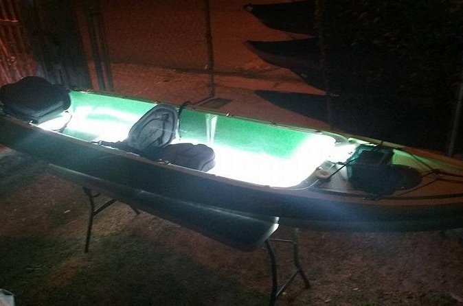 Bioluminescent Bay Kayak Trip from Vieques - Launching the kayaks and learning the science