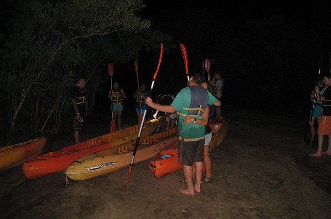Bioluminescent Bay Kayak Trip from Vieques - Safety, organization, and what to watch for