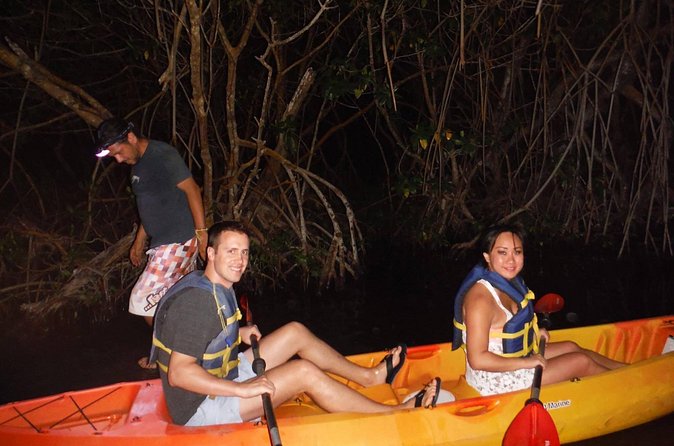 Bioluminescent Bay Kayak Trip from Vieques - Is $65 a fair price?