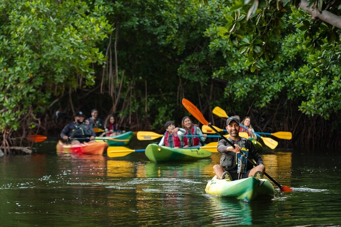 Bioluminescent Bay Night Kayaking Adventure in Puerto Rico - Timing, moonlight, and realistic expectations