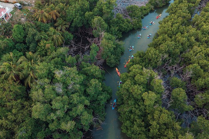 Bioluminescent Bay Night Kayaking Adventure in Puerto Rico - Should you book the Laguna Grande kayak tour?