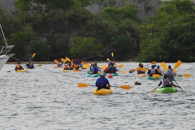 Bioluminescent Bay Night Kayaking, Fajardo - Paddling through Laguna Grande’s mangroves