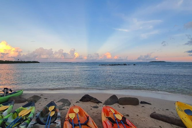 Bioluminescent Bay Night Kayaking, Fajardo - Accessibility and physical requirements