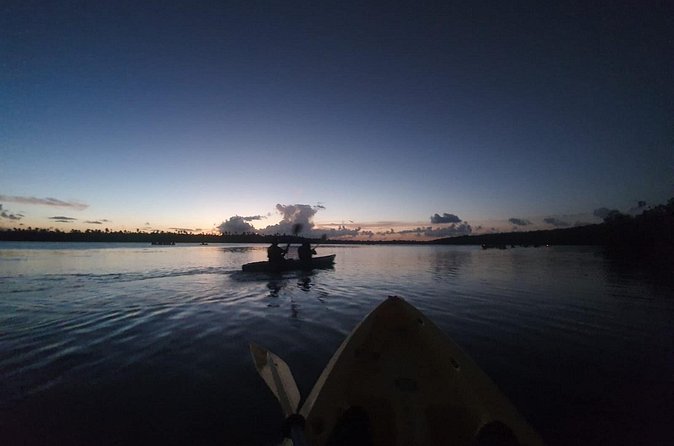 Bioluminescent Bay Night Kayaking, Fajardo - How to prepare for a better night