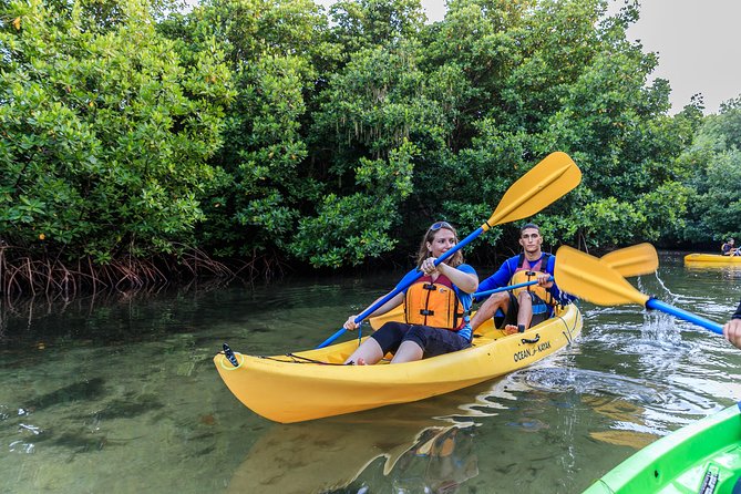 Bioluminescent Bay Night Kayaking, Fajardo - Looking for dinoflagellates in the dark