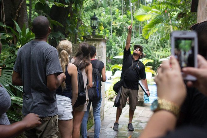 Bites of Nassau Food and Walking Tour - Heat, rain, and the practical side of the walk