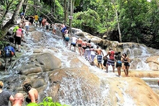 Blue Hole and Dunn's Falls Tour from Falmouth - Who will enjoy this tour most?